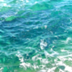 Meet your Posher, Krista